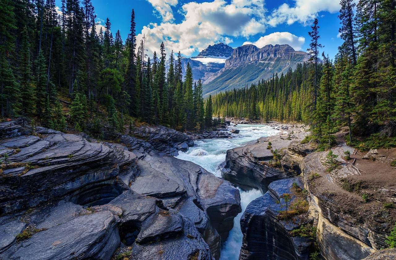 The City That Remembers Water: Ghost Rivers and Buried Creeks